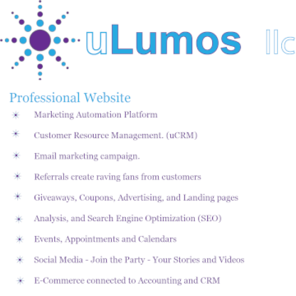 Profession 12 Payments 0% Interest
