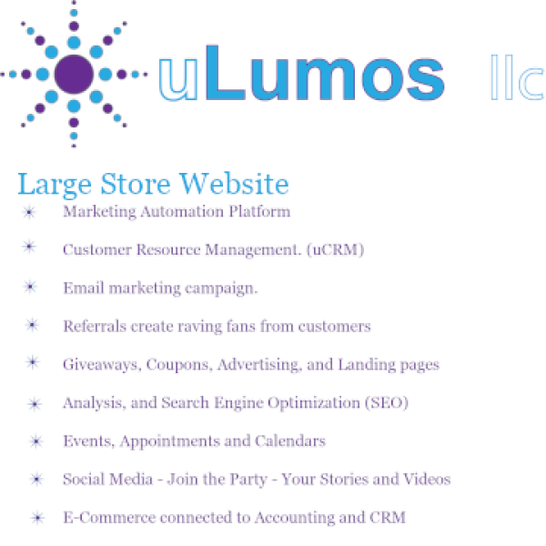 Large Store 0% Interest 12 Payments