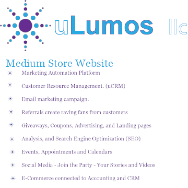 Medium Store 0% Interest 12 Payments