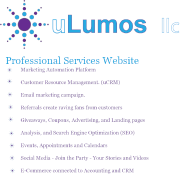 Professional Services Standard 0% Interest 12 Payments